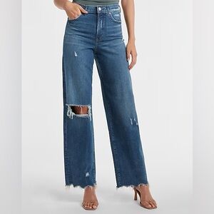 Express Super High Wasted Ripped Raw Hem 90s wide leg Jean - size 2 long